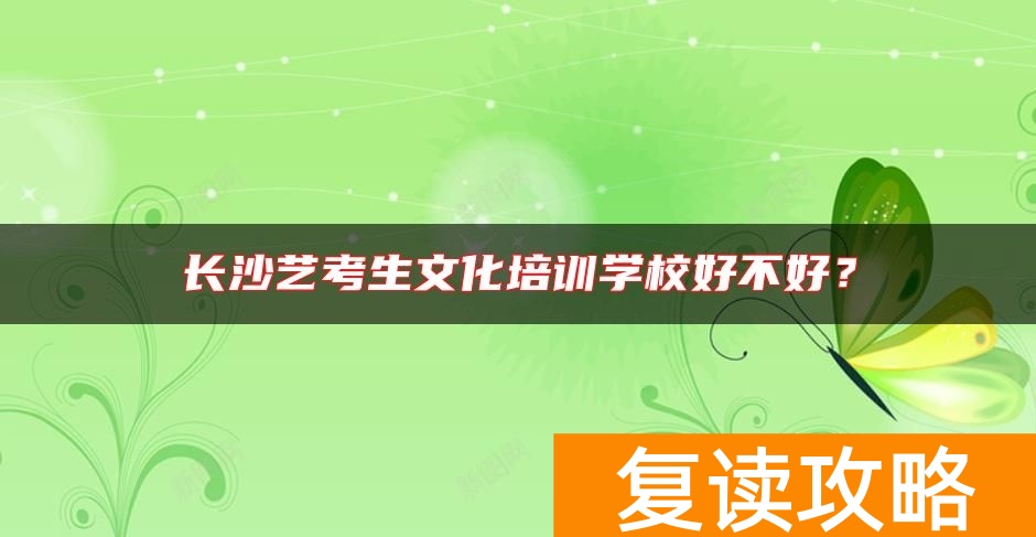 长沙艺考生文化培训学校好不好？